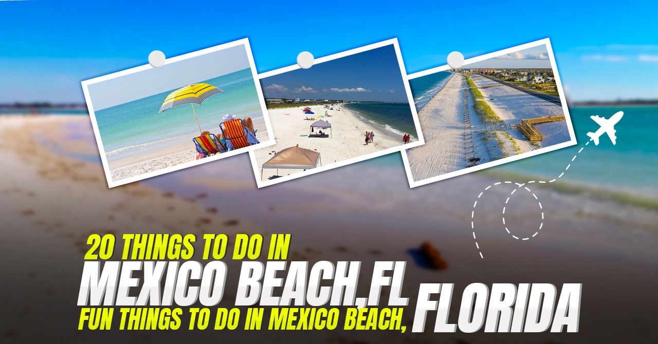 20 Things to Do in Mexico Beach, FL Fun Things to do in Mexico Beach, Florida
