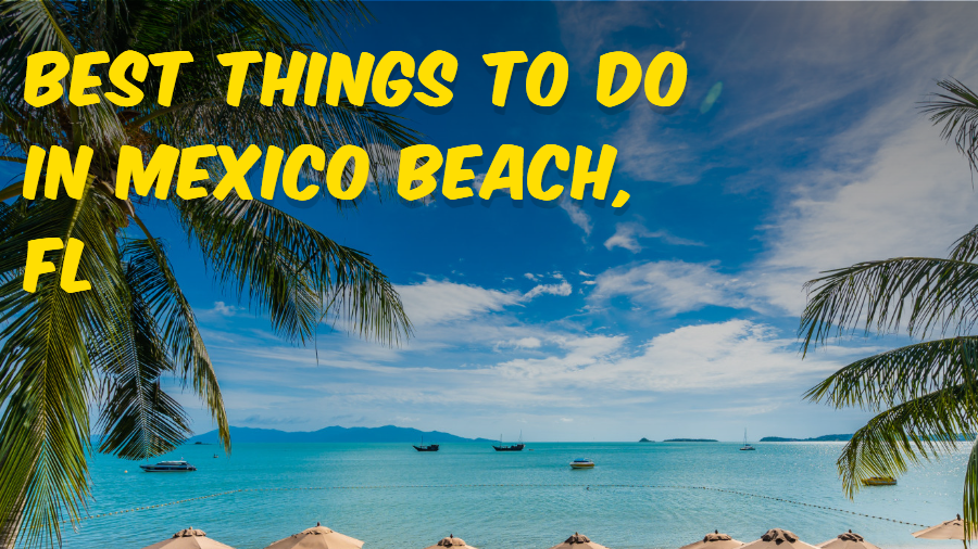 Best Things to Do in Mexico Beach, FL
