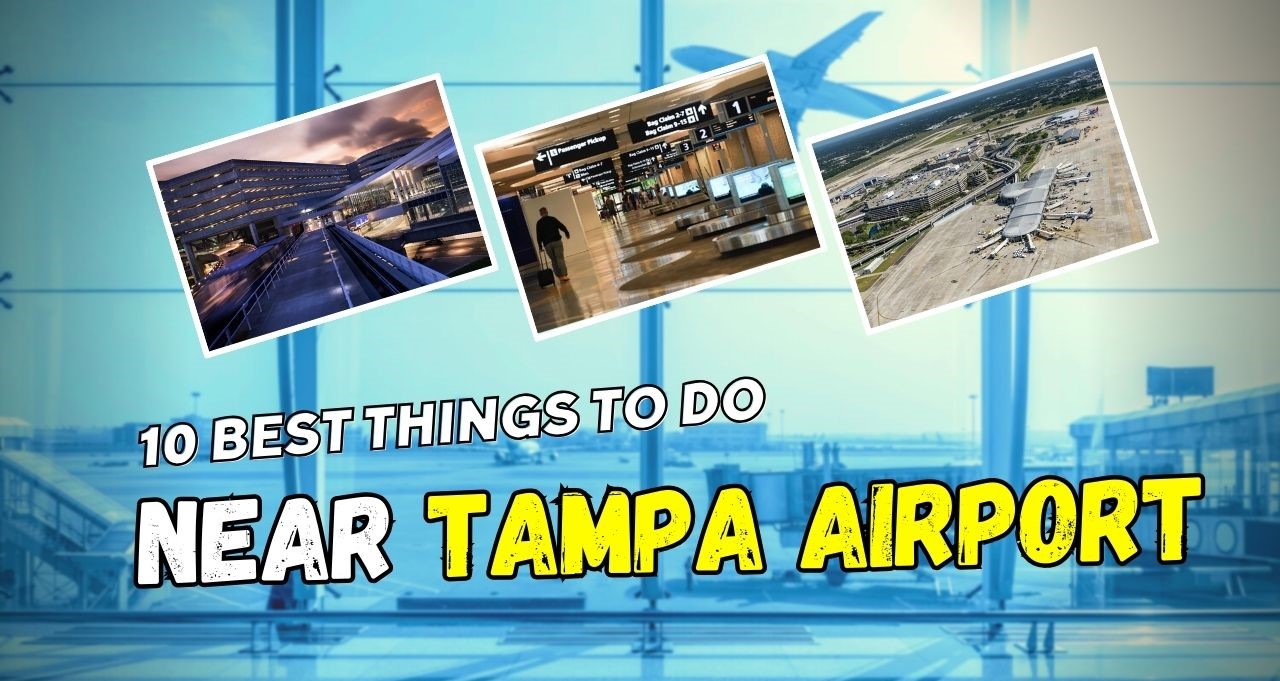 10 Best Things to Do Near Tampa Airport