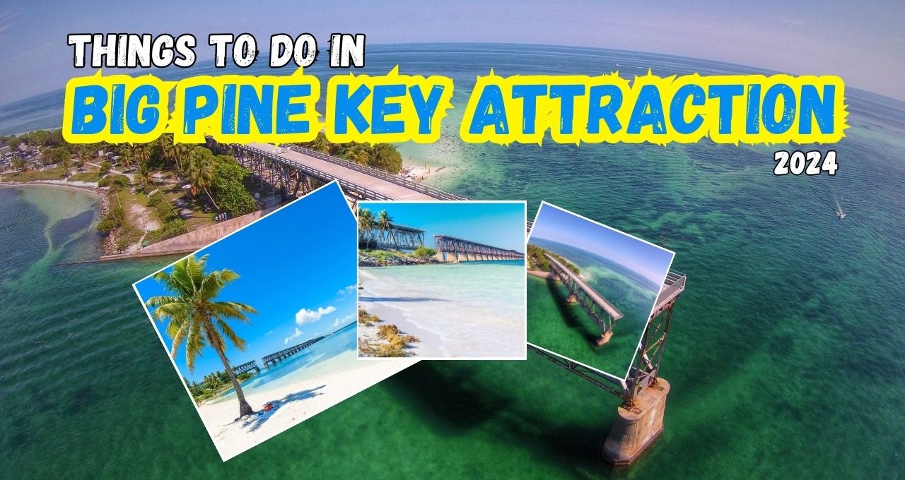 Things to Do in Big Pine Key Attraction 2024 